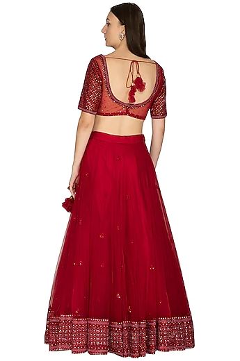 Maroon Embroidered Swarovski Net Lehenga Set