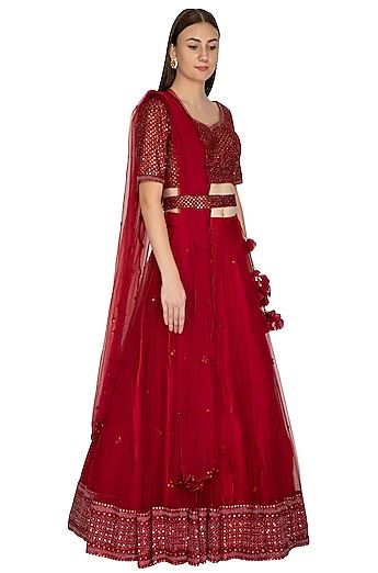 Maroon Embroidered Swarovski Net Lehenga Set