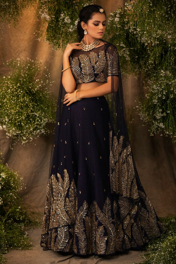 Navy Blue Embroidery Lehenga Set