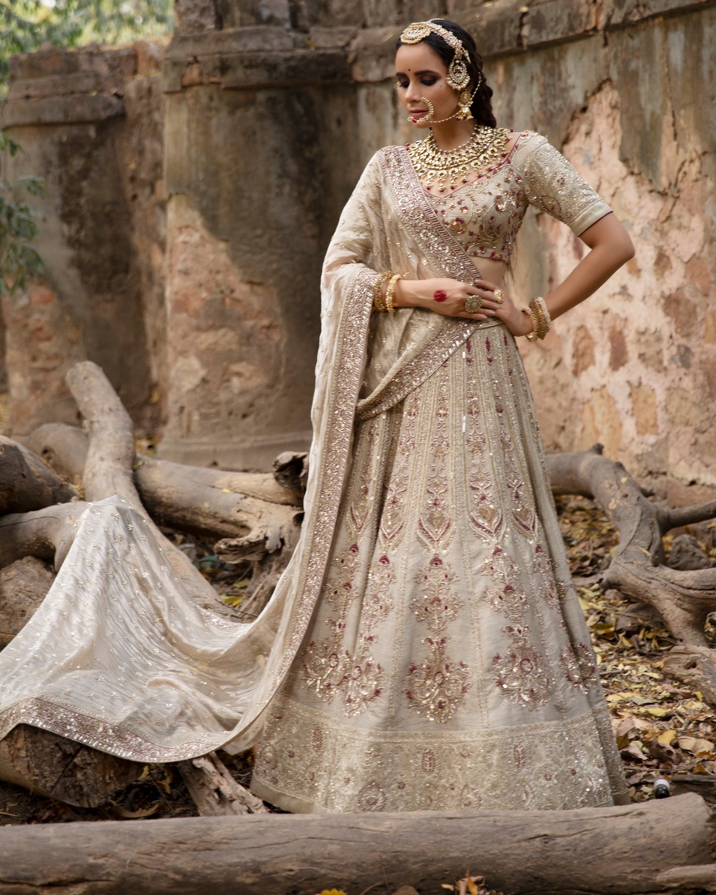 Silver Dupian and Tissue Embroidered Lehenga Set