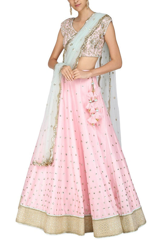 Baby Pink Embroidered Blouse with Lehenga